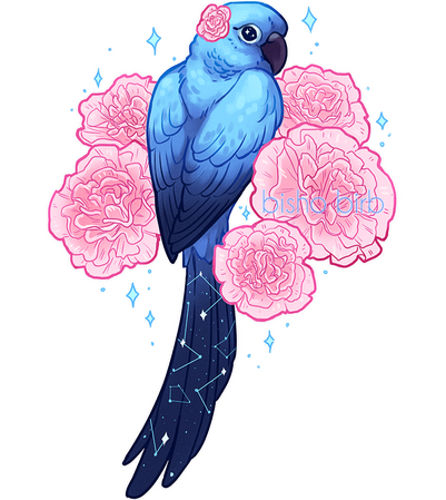 bisho_birb